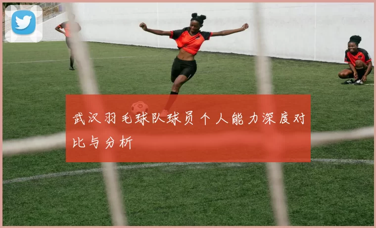 武汉羽毛球队球员个人能力深度对比与分析