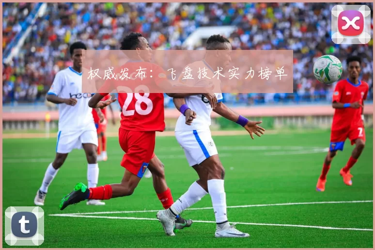 权威发布：飞盘技术实力榜单