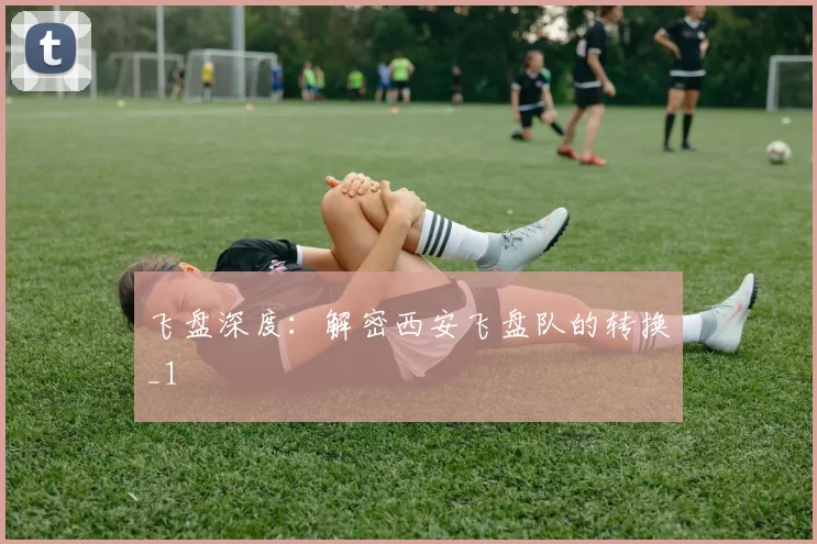 飞盘深度：解密西安飞盘队的转换_1