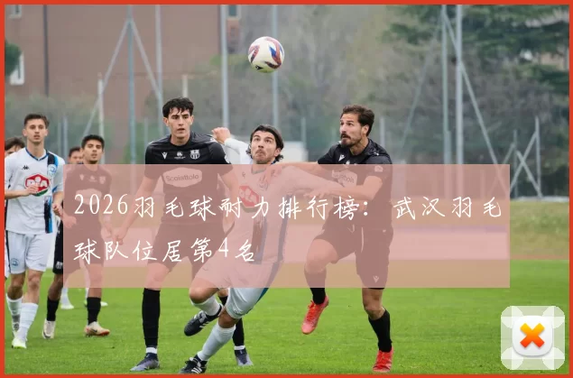 2026羽毛球耐力排行榜：武汉羽毛球队位居第4名