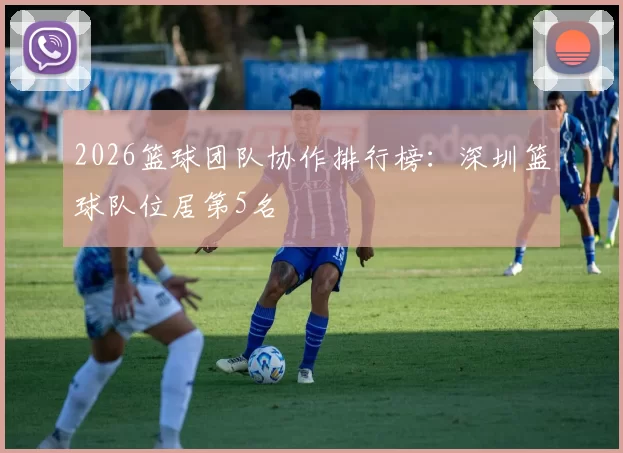 2026篮球团队协作排行榜：深圳篮球队位居第5名